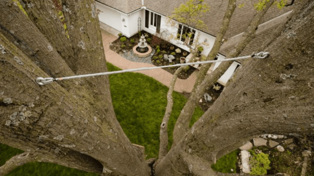 Straight down over the roof. No room to drop it wrong.