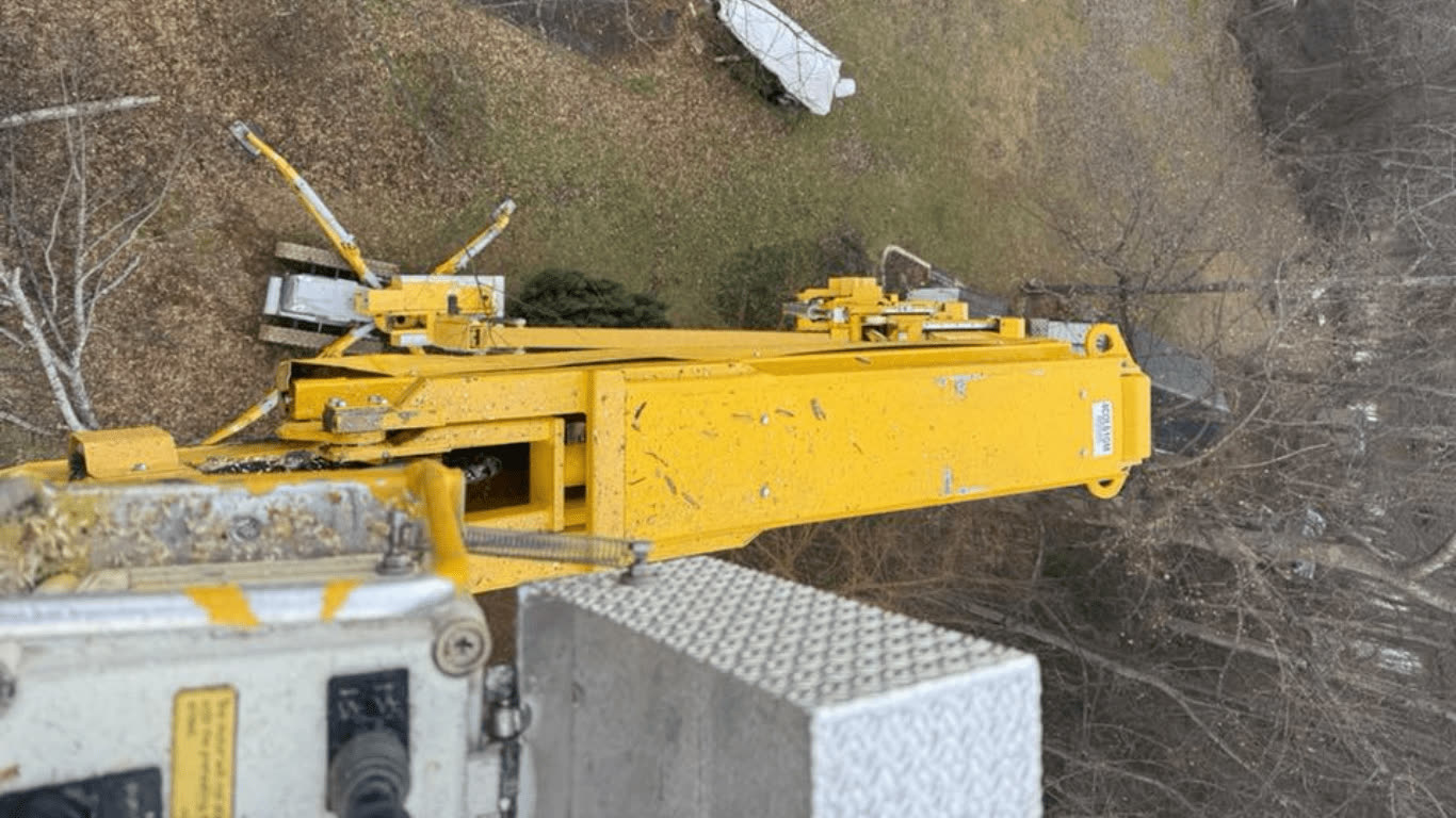 Reaching over the yard to get at the crown.