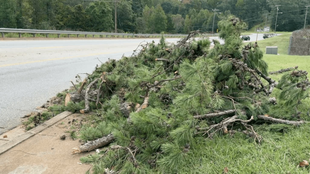 Storm damage pulled back off the roadside.