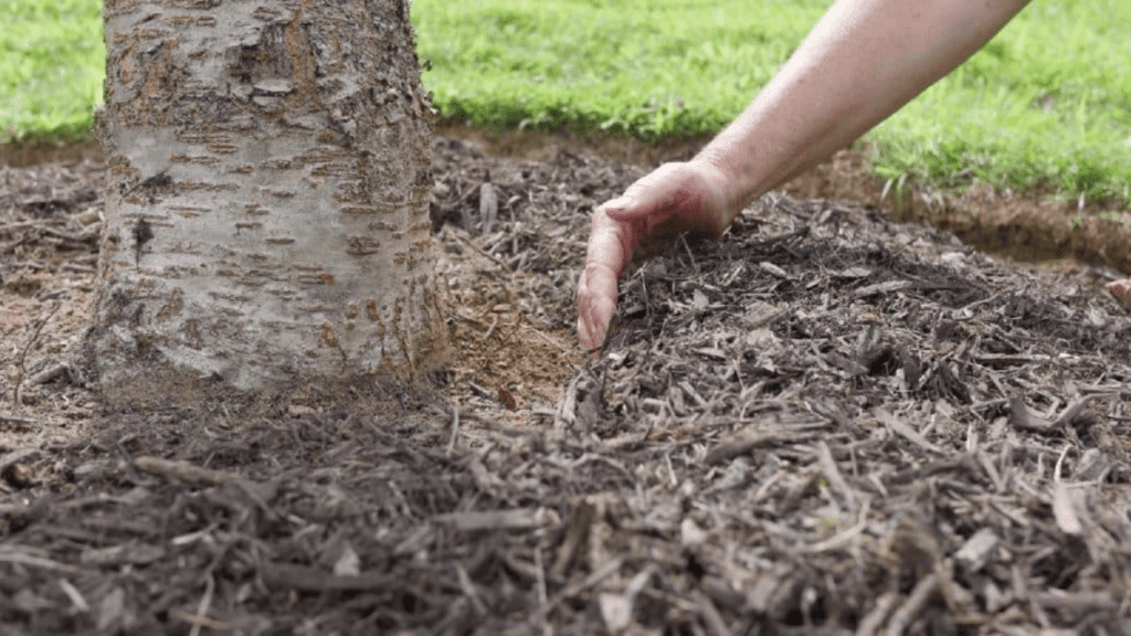 Mulching Lyman, SC - Heatherly Tree Service