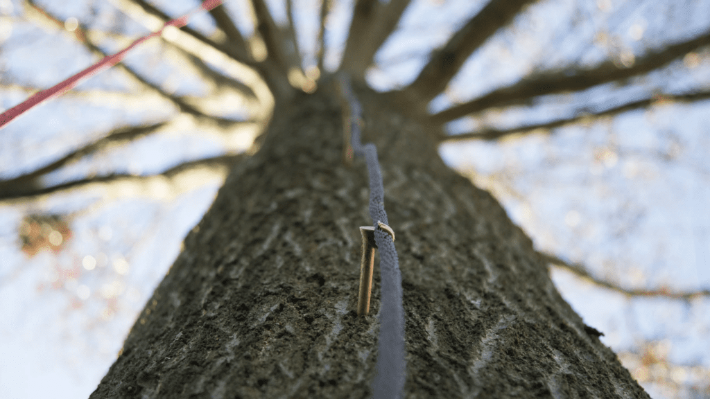 Lightning Protection Systems Lyman, SC - Heatherly Tree Service