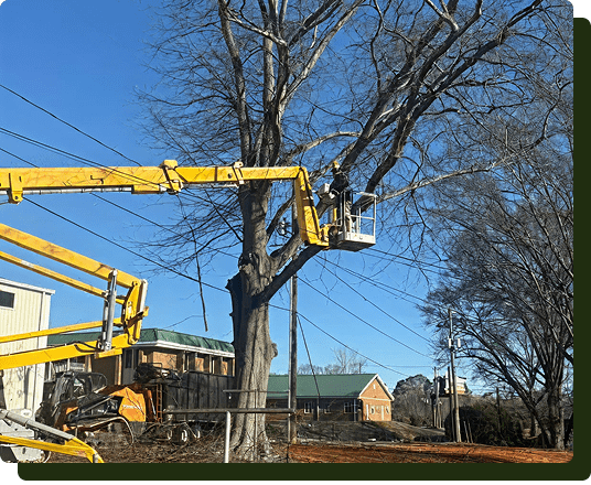 Heatherly Tree Service team Lyman SC