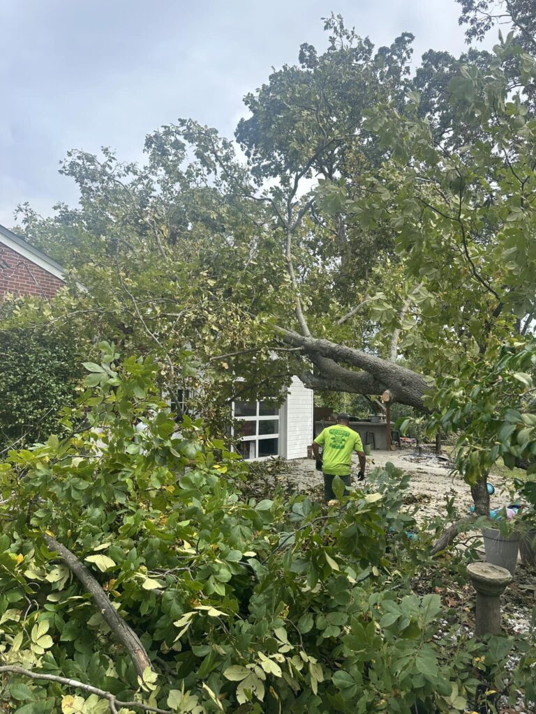 Emergency tree removal service Lyman SC- Heatherly Tree Service