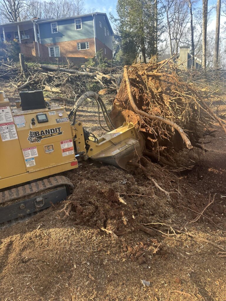 Stump grinding removal equipment Lyman SC